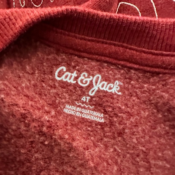 Cat & Jack | Dinosaur Sweatshirt Bundle (4T) 🦖 🦕 - Picture 4 of 4